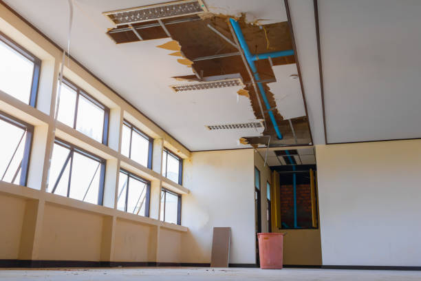 Best Basement water damage restoration  in Kempner, TX