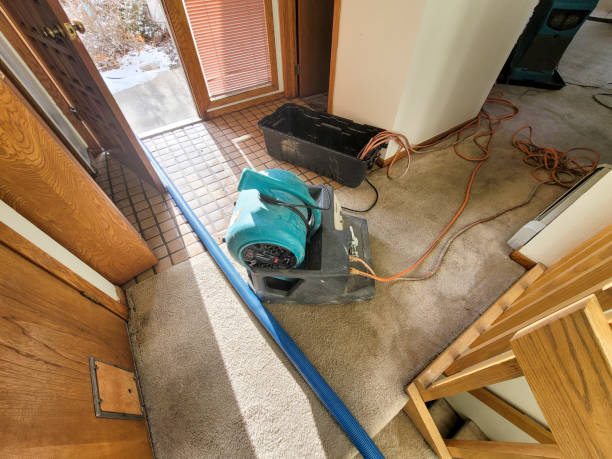 Water damage restoration mold remediation in TX