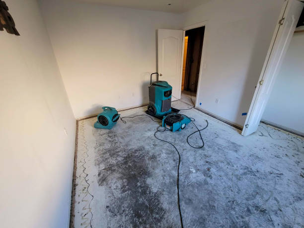 Best Carpet water damage restoration  in Kempner, TX