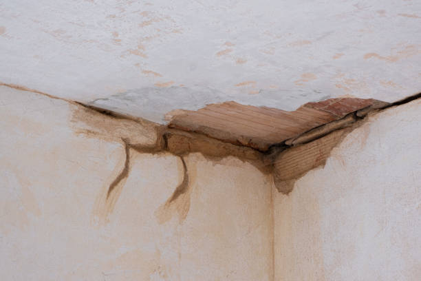  Kempner, TX Water damage restoration Pros