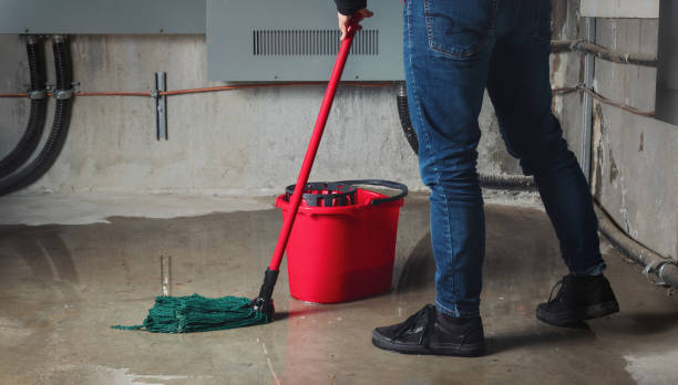 Best Ceiling water damage repair  in Kempner, TX