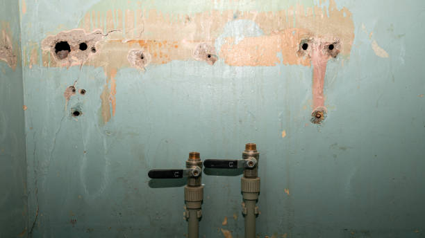 Best Flood damage cleanup  in Kempner, TX